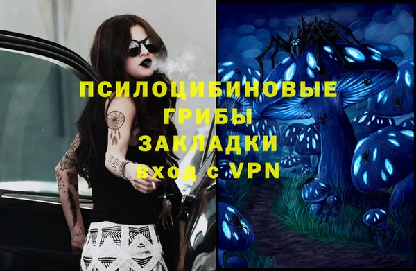 ГАЛЛЮЦИНОГЕННЫЕ ГРИБЫ Белоозёрский