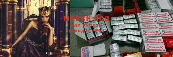 ГАЛЛЮЦИНОГЕННЫЕ ГРИБЫ Белоозёрский